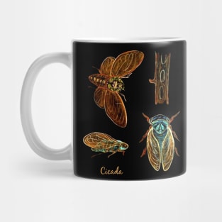 SUMMER CICADA Insect Lovers Mug